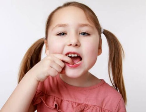 Você sabe os nomes dos dentes? Veja 5 tipos e suas funções